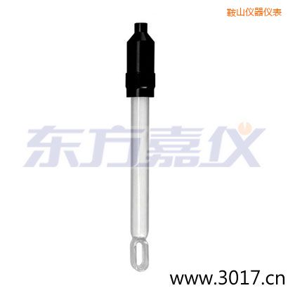 鞍山無溫補兩線電導率電極