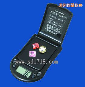 濱州微型電子天平,100g,0.1g