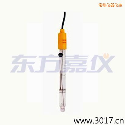 常州可填充玻璃管電極