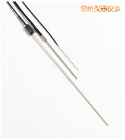 常州R 型和 S 型標準熱電偶
