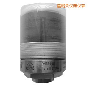 嘉峪關無線軸承狀態(tài)監(jiān)測器