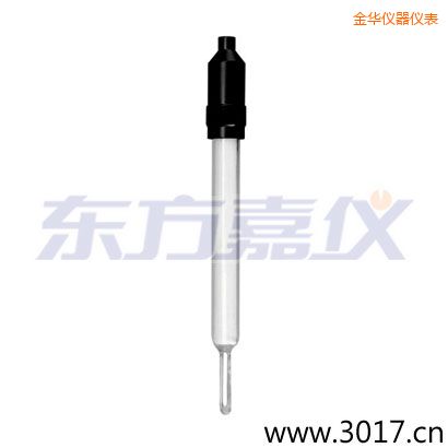 金華玻璃外殼無溫補(bǔ)兩線電導(dǎo)率電極