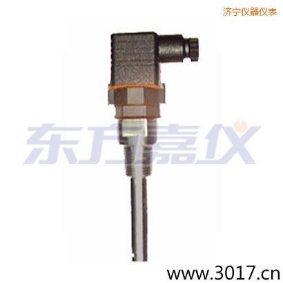 濟(jì)寧含有溫度的兩線電導(dǎo)率電極