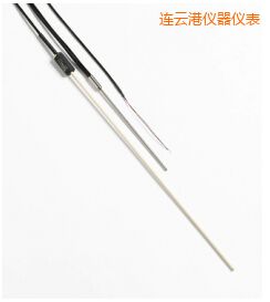 連云港R 型和 S 型標準熱電偶