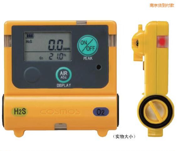 南京復(fù)合型氣體檢測器