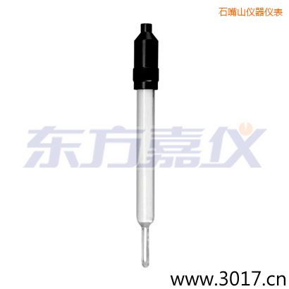 石嘴山玻璃外殼無溫補(bǔ)兩線電導(dǎo)率電極