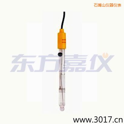 石嘴山可填充玻璃管電極