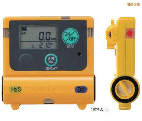昭通復(fù)合型氣體檢測器