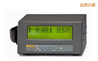 趙縣四通道便攜式測溫儀