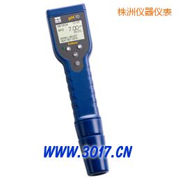 株洲筆式酸堿度/溫度計(jì)