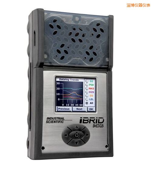 淄博復(fù)合式6氣體檢測儀